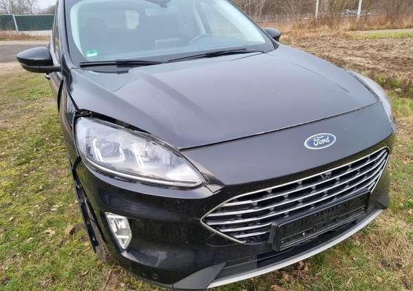 Ford Kuga cena 89900 przebieg: 63000, rok produkcji 2021 z Głogów małe 352